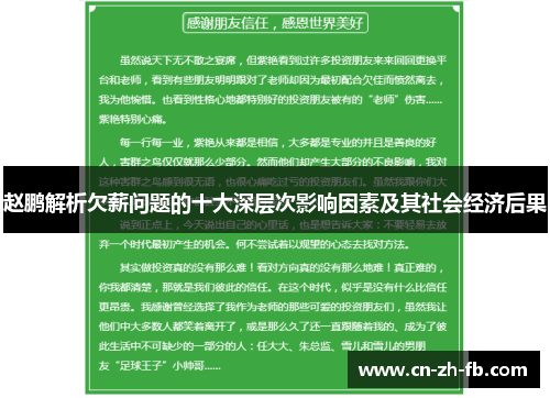 赵鹏解析欠薪问题的十大深层次影响因素及其社会经济后果 赵鹏解析欠薪问题的十大深层次影响因素及其社会经济后果
