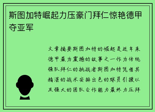 斯图加特崛起力压豪门拜仁惊艳德甲夺亚军