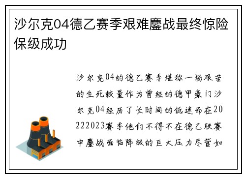 沙尔克04德乙赛季艰难鏖战最终惊险保级成功
